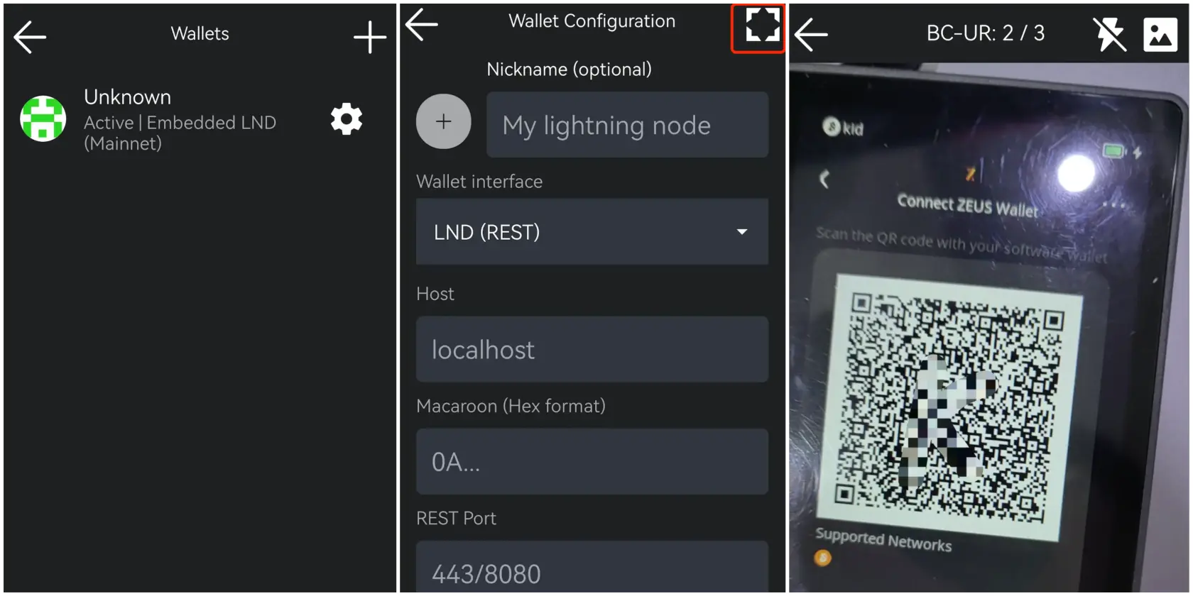 zeus-3.webp