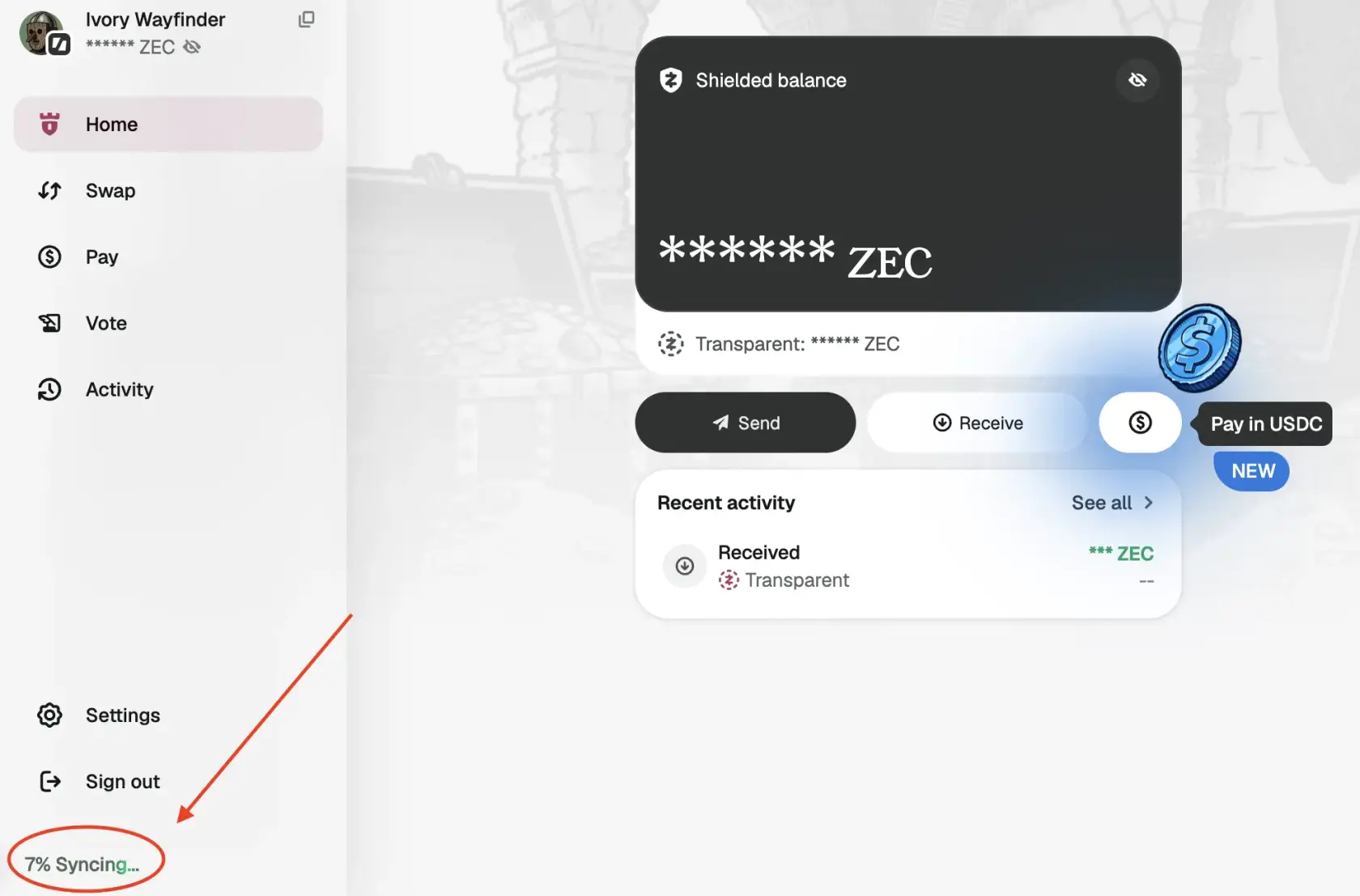 vizor-3.webp